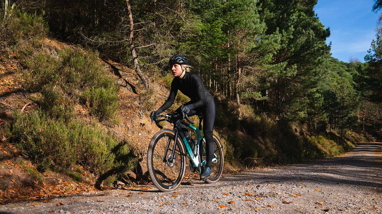 Prima pagina 12 Prima pagina -Vendite Biciclette Gravel 3.