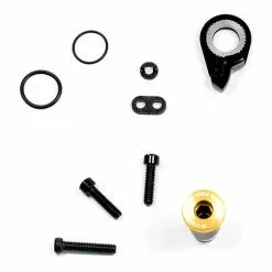 Vite SRAM Per Cambio XX1 Eagle Dorato